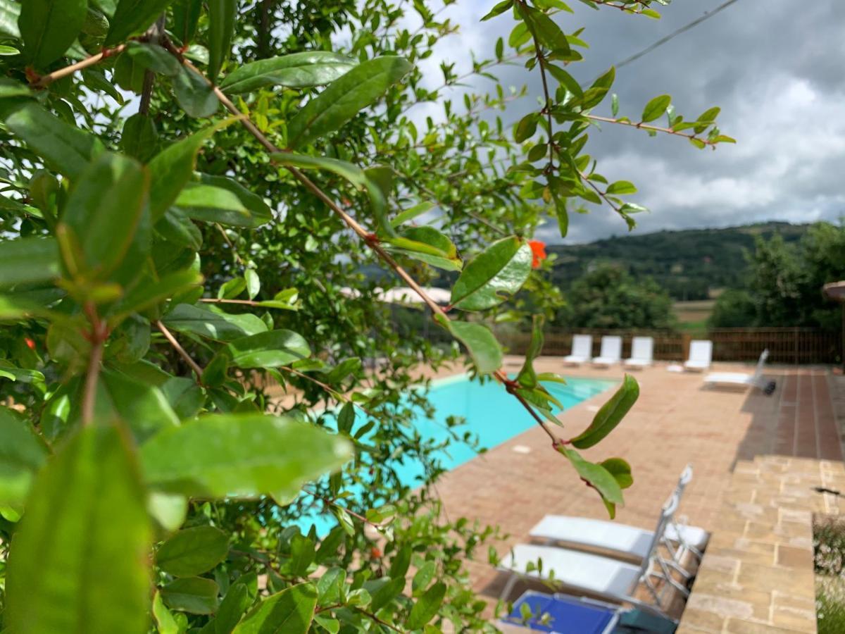 Agriturismo La Palazzetta Di Assisi Eksteriør bilde