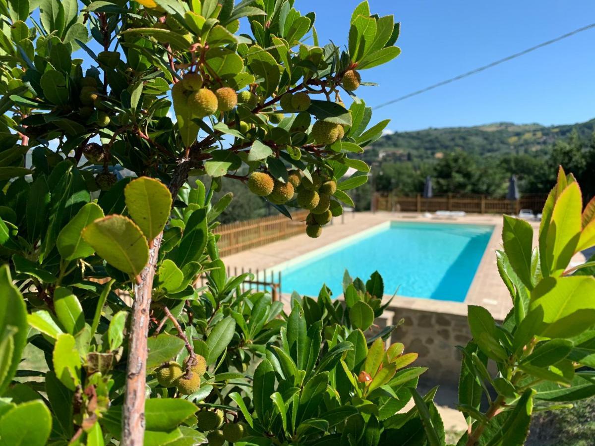 Agriturismo La Palazzetta Di Assisi Eksteriør bilde
