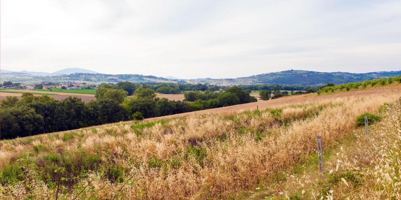 Agriturismo La Palazzetta Di Assisi Eksteriør bilde