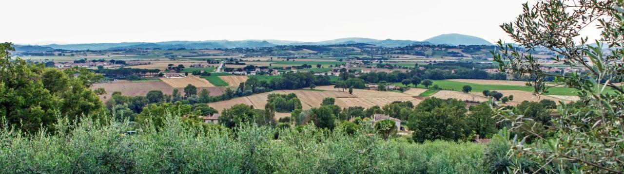 Agriturismo La Palazzetta Di Assisi Eksteriør bilde