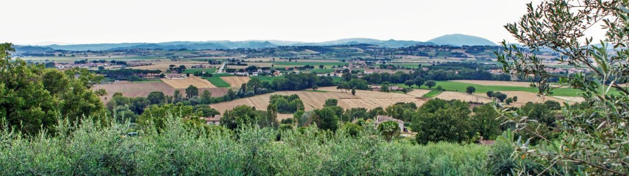 Agriturismo La Palazzetta Di Assisi Villa Eksteriør bilde