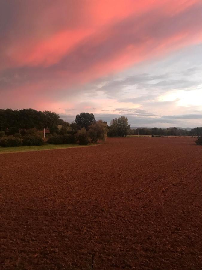 Agriturismo La Palazzetta Di Assisi Eksteriør bilde